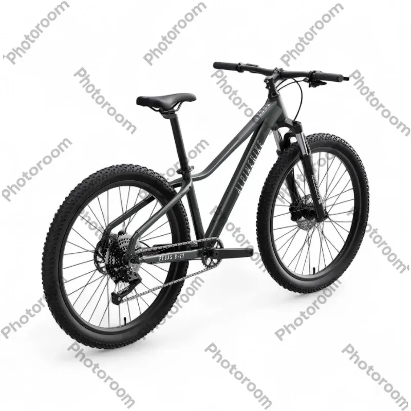 картинка Alpinebike Pegas 8-27 от магазина Одежда+