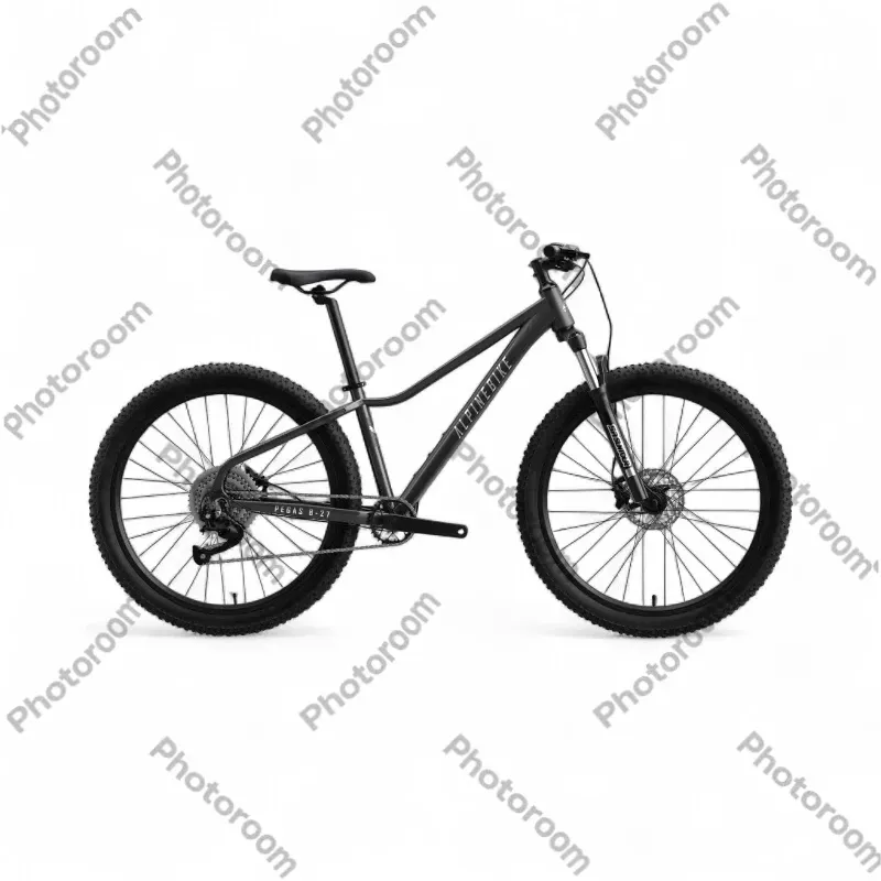 картинка Alpinebike Pegas 8-27 от магазина Одежда+