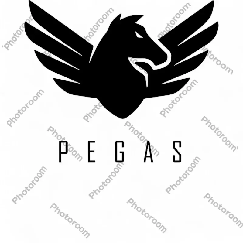 картинка Alpinebike Pegas 8-27 от магазина Одежда+